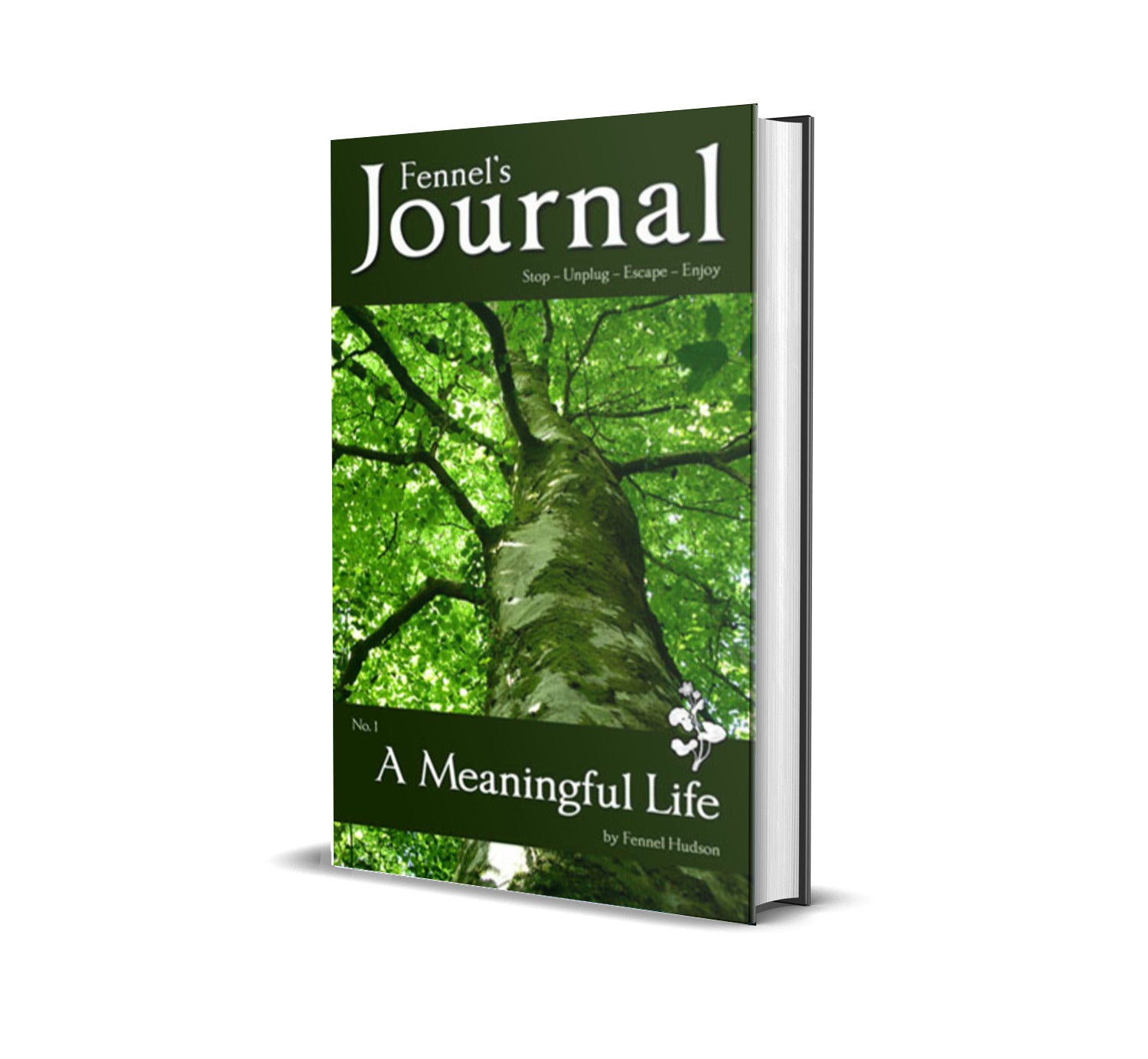 A Meaningful Life, by Fennel Hudson