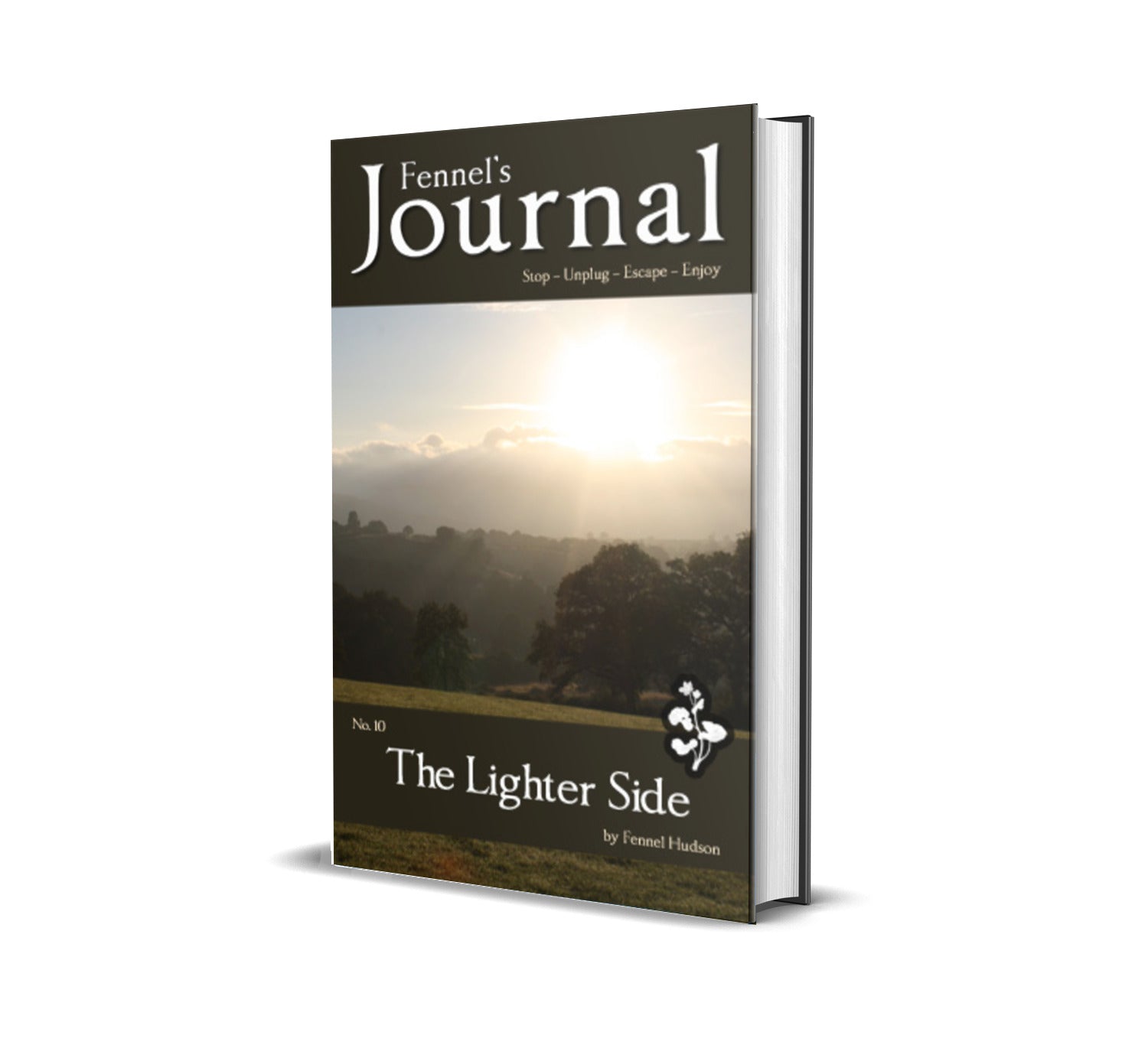 The Lighter Side, by Fennel Hudson